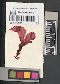 LE A0002127