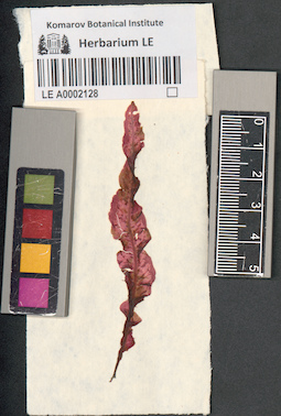 LE A0002128