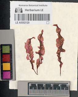 LE A0002129