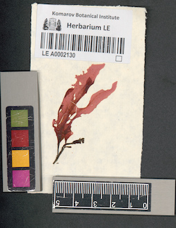 LE A0002130