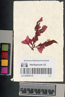 LE A0002131
