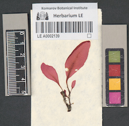 LE A0002139