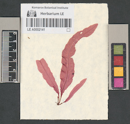 LE A0002141