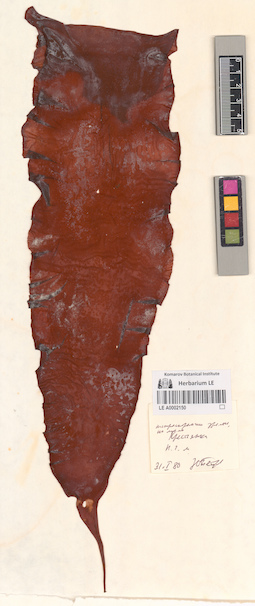 LE A0002150