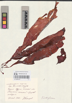 LE A0002151