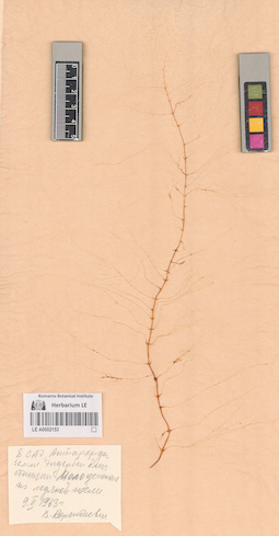 LE A0002153