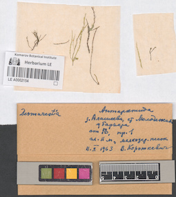 LE A0002154