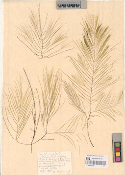 LE A0002156