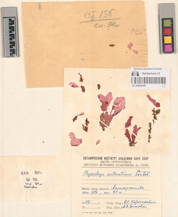LE A0002160