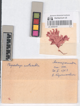 LE A0002161