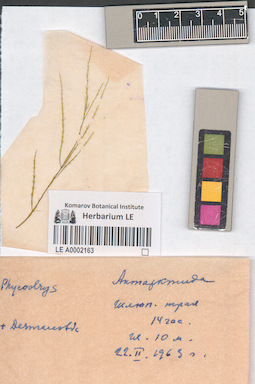 LE A0002163