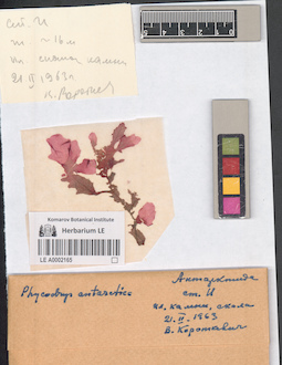 LE A0002165