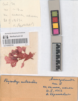 LE A0002166