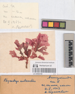 LE A0002169