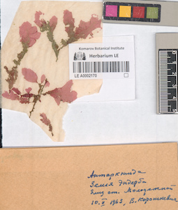 LE A0002170