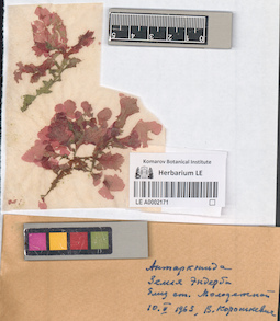 LE A0002171