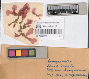 LE A0002172