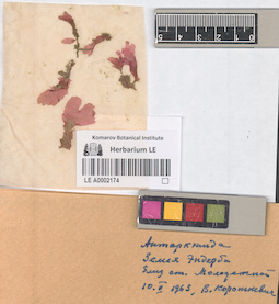 LE A0002174