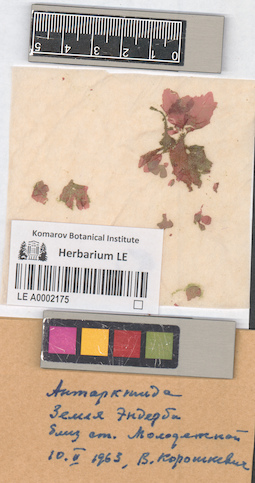 LE A0002175