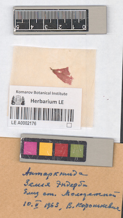 LE A0002176