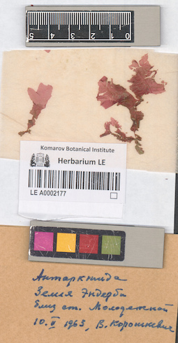 LE A0002177