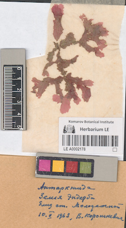 LE A0002178