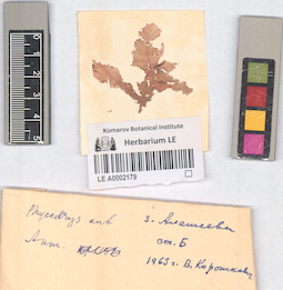 LE A0002179