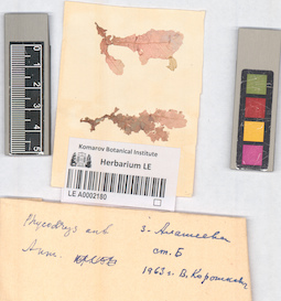 LE A0002180