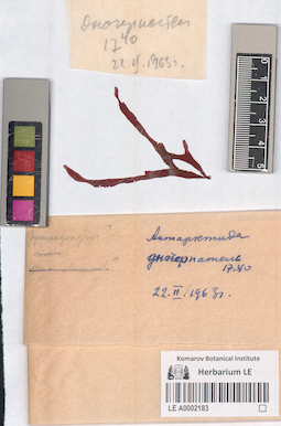 LE A0002183