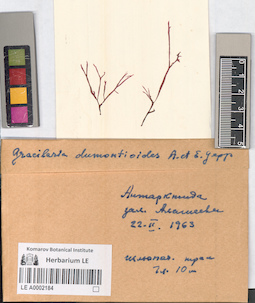 LE A0002184