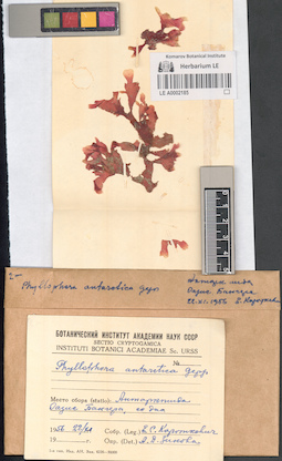 LE A0002185
