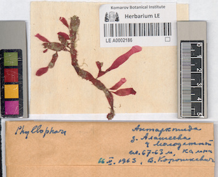 LE A0002186
