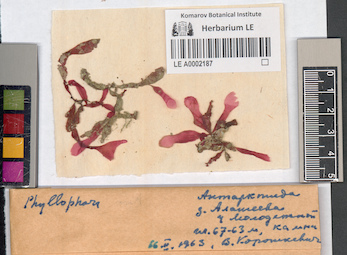 LE A0002187