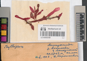LE A0002189
