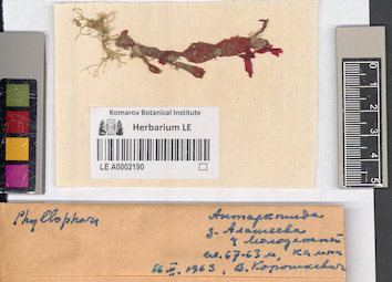 LE A0002190