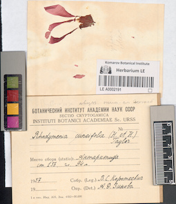 LE A0002191
