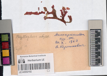 LE A0002192