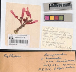 LE A0002194
