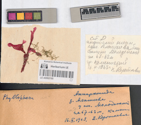 LE A0002195