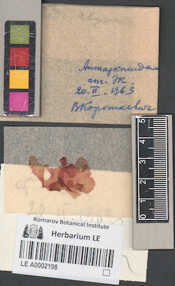 LE A0002198