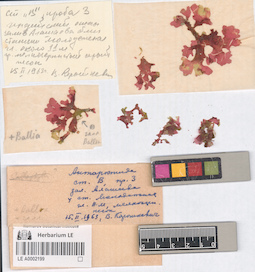 LE A0002199