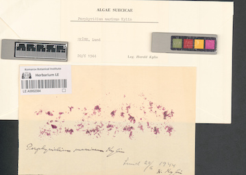 LE A0002384
