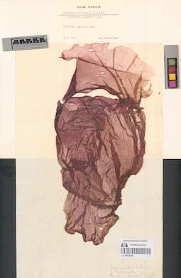 LE A0002388