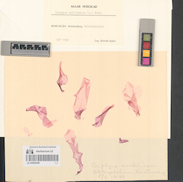 LE A0002389