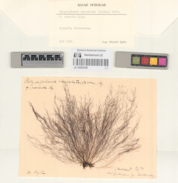 LE A0002390