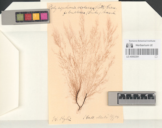 LE A0002391