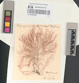 LE A0002392