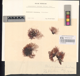 LE A0002398