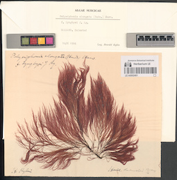 LE A0002401