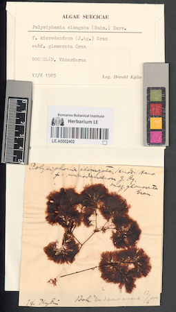 LE A0002402